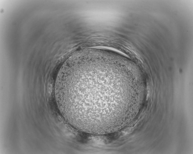 X0000087060417200704251034