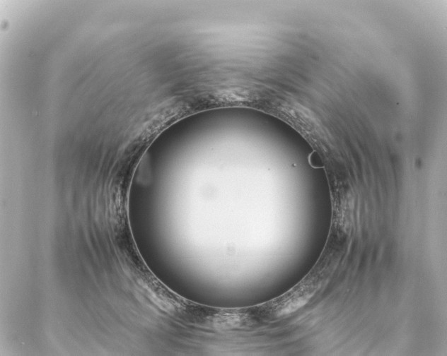 X0000087060418200704251034