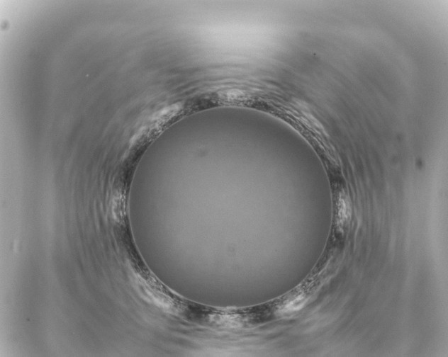 X0000087060419200704251034