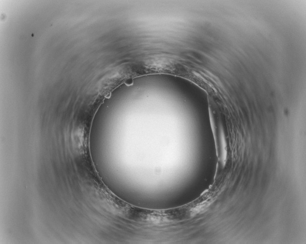 X0000087060420200704251034