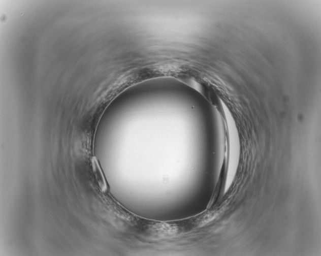 X0000087060421200704251034