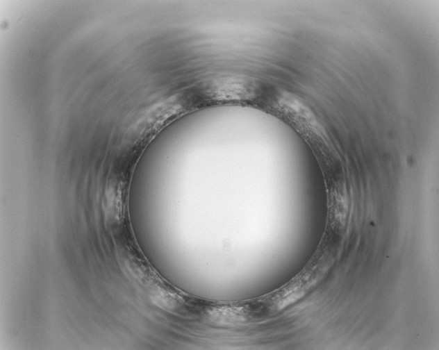 X0000087060422200704251034