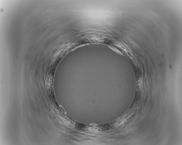 X0000087060423200704251034