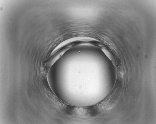 X0000087060425200704251034