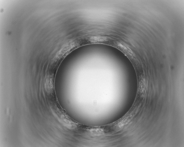 X0000087060426200704251034