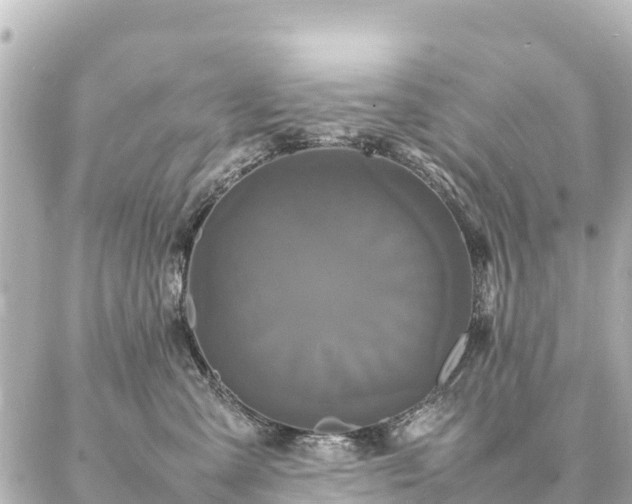 X0000087060427200704251034