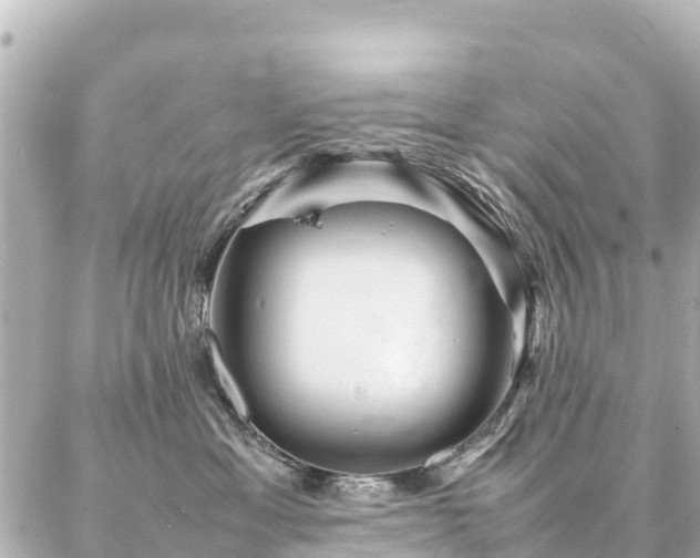 X0000087060429200704251034