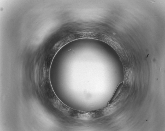 X0000087060430200704251034