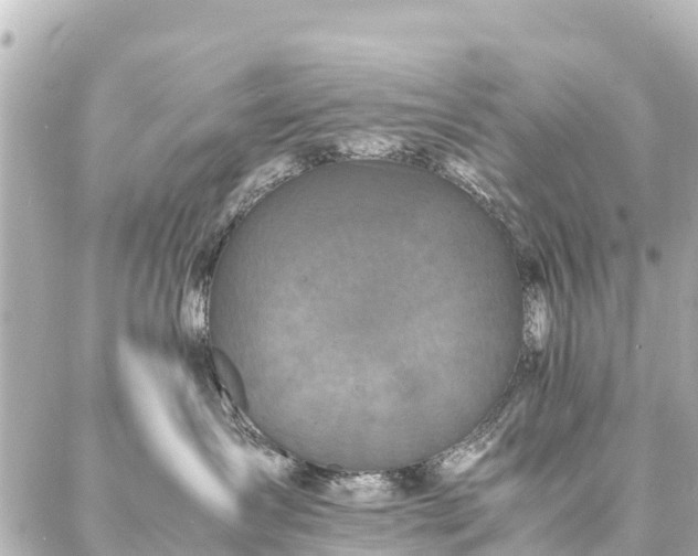 X0000087060431200704251034