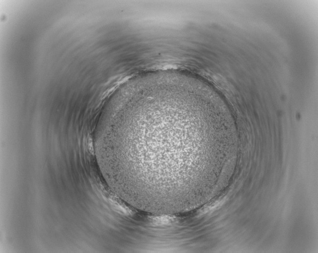 X0000087060432200704251034