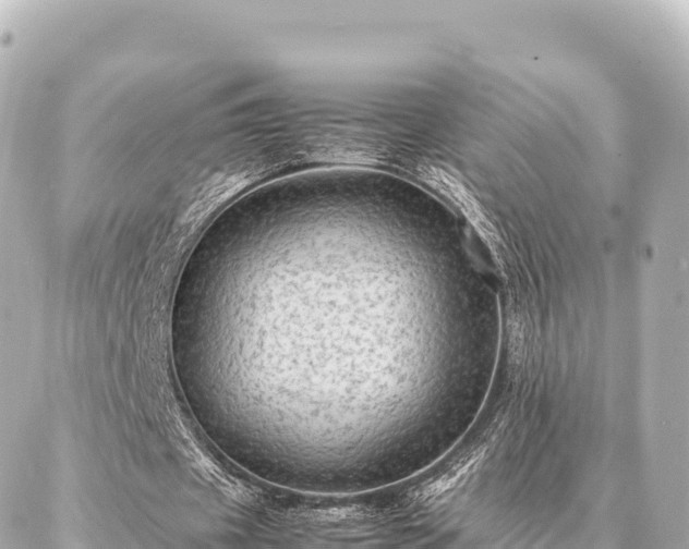 X0000087060433200704251033