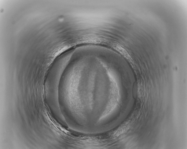 X0000087060434200704251033