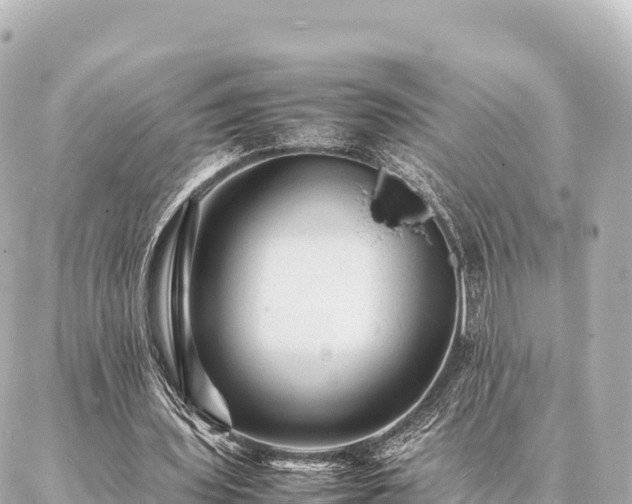 X0000087060435200704251033