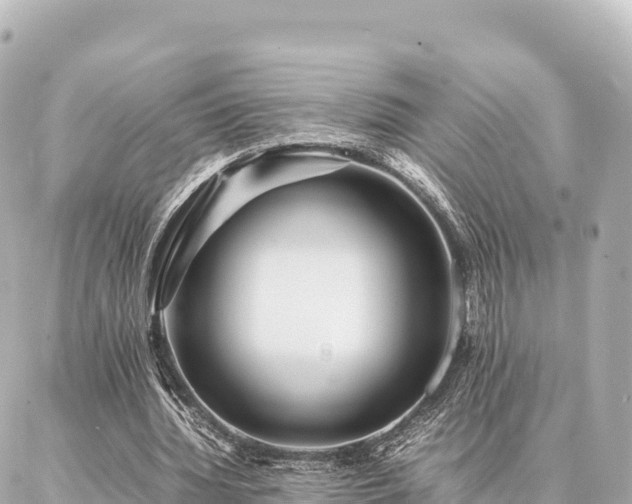 X0000087060436200704251033