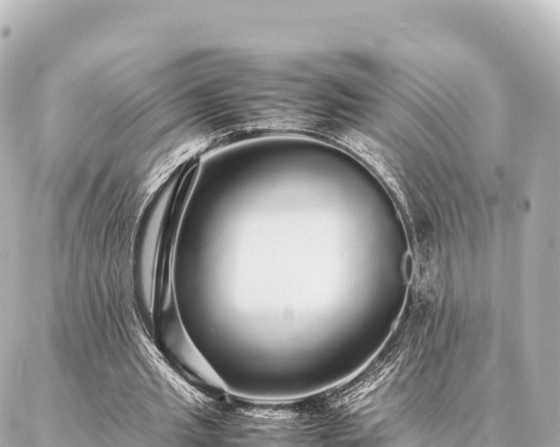 X0000087060437200704251033