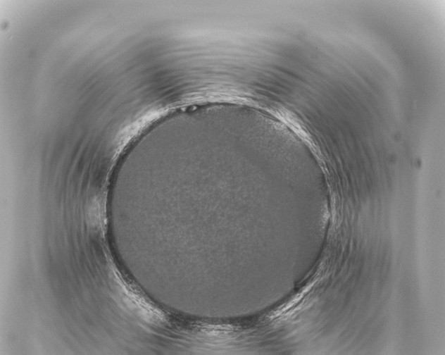 X0000087060438200704251033