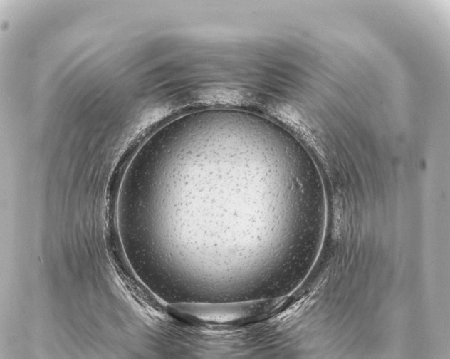 X0000087060439200704251033