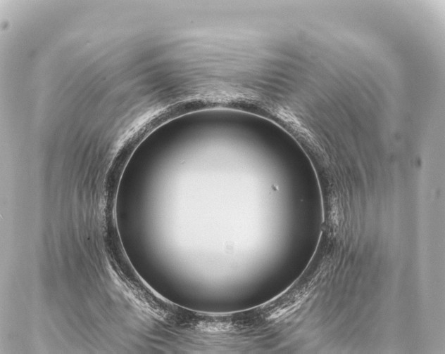 X0000087060440200704251033