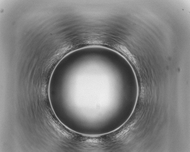 X0000087060441200704251033