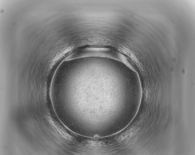 X0000087060442200704251033