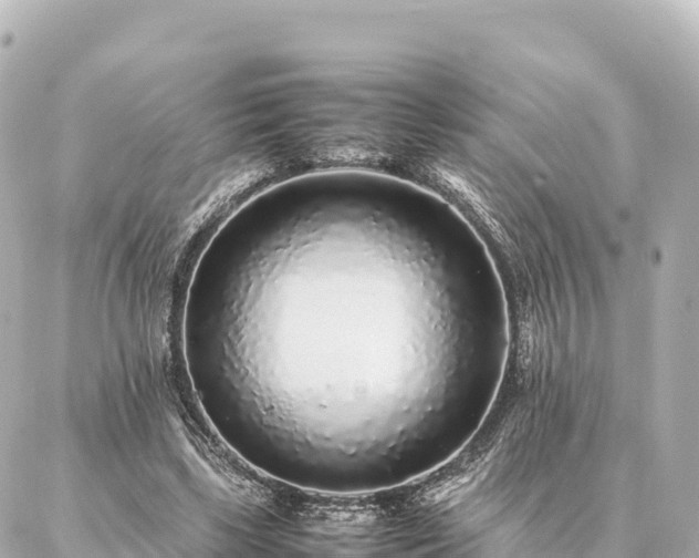 X0000087060443200704251033