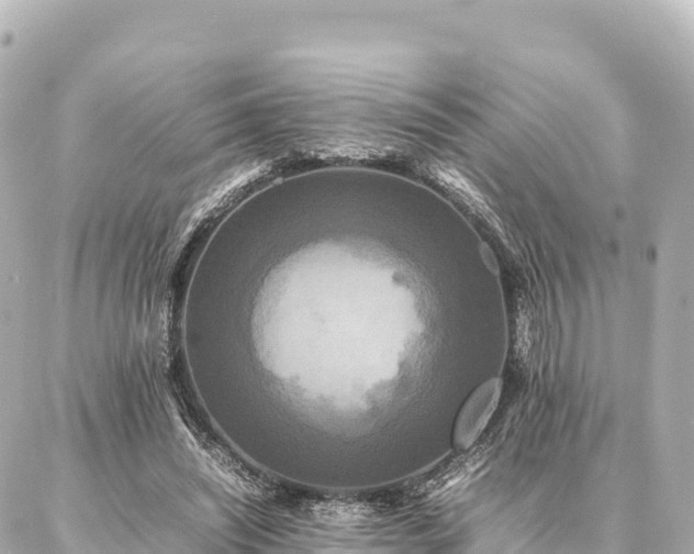 X0000087060444200704251033