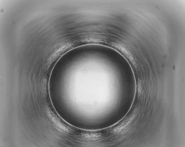 X0000087060445200704251033