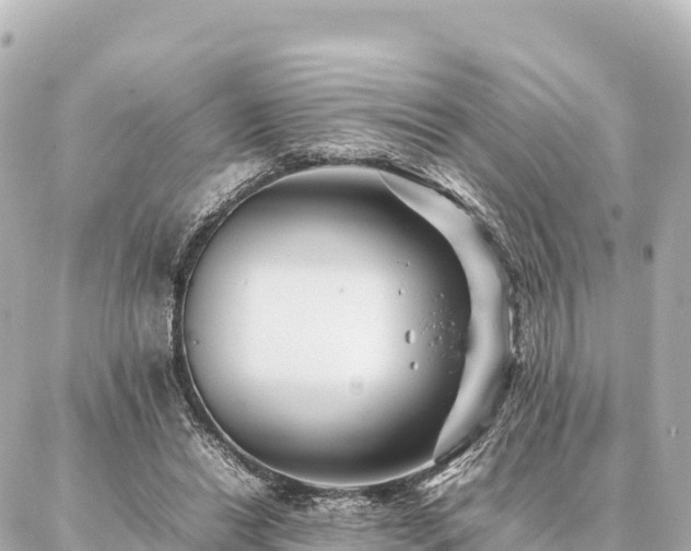 X0000087060446200704251033