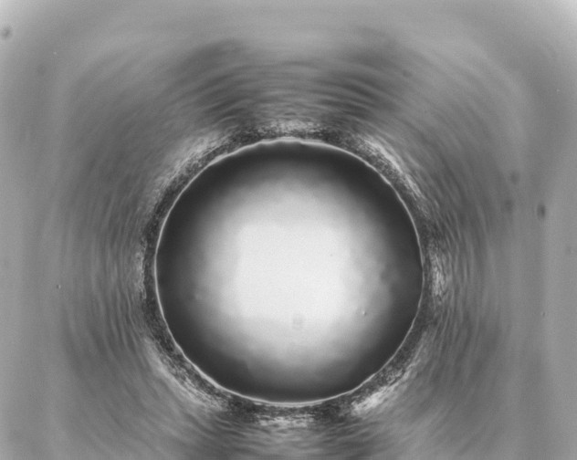 X0000087060447200704251033