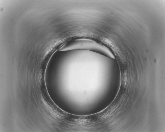 X0000087060448200704251033