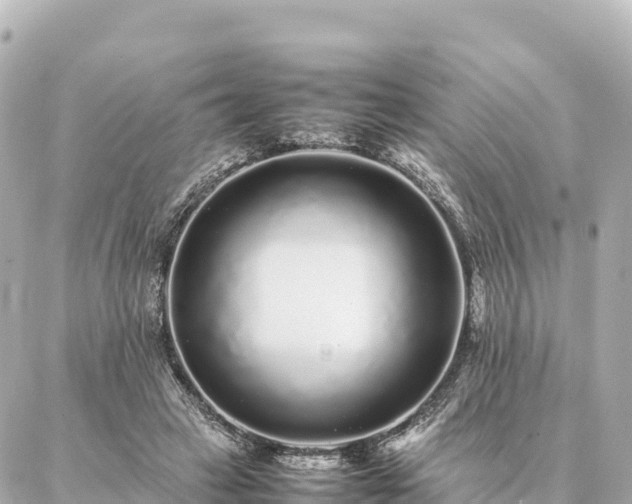 X0000087060449200704251033