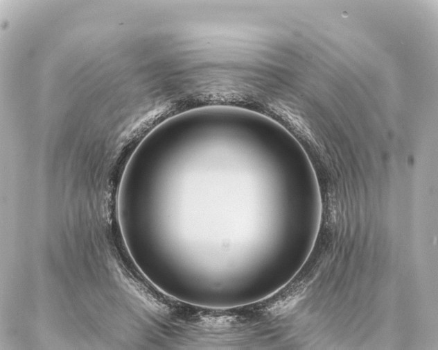 X0000087060450200704251033