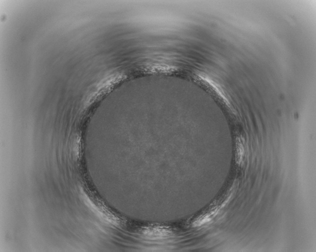 X0000087060451200704251033