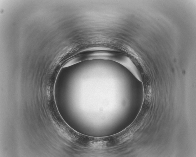 X0000087060452200704251033