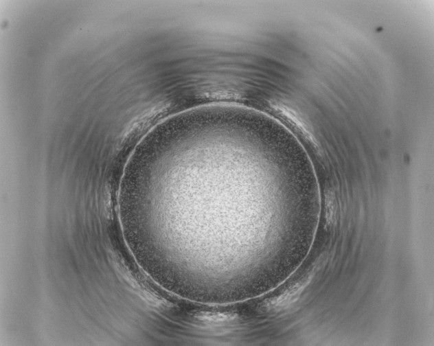 X0000087060453200704251033