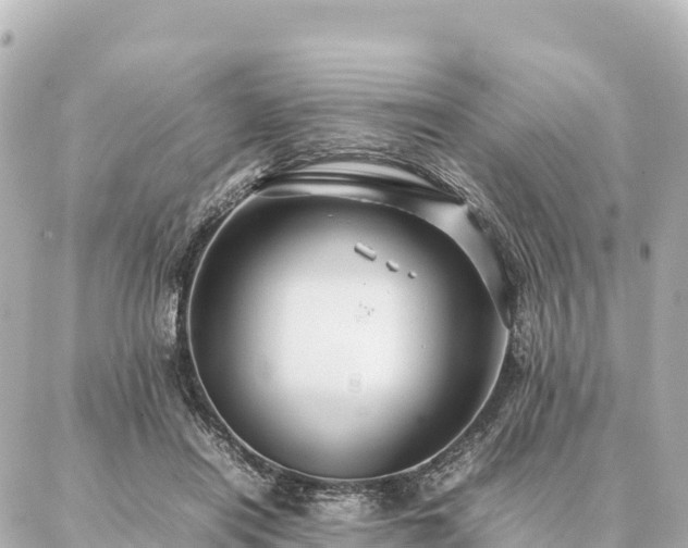 X0000087060454200704251033