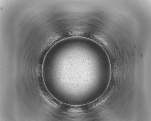 X0000087060455200704251033