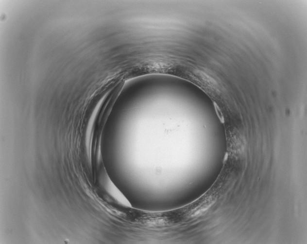 X0000087060456200704251033