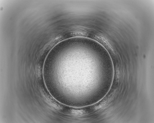 X0000087060457200704251033