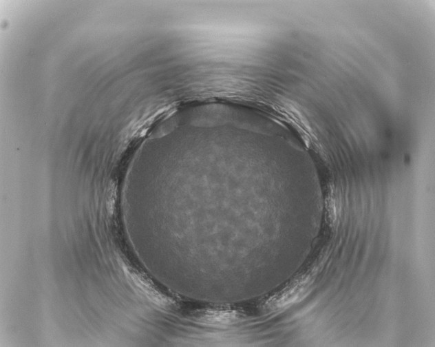 X0000087060458200704251033