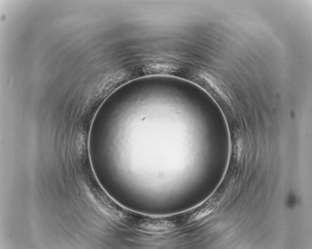 X0000087060459200704251033