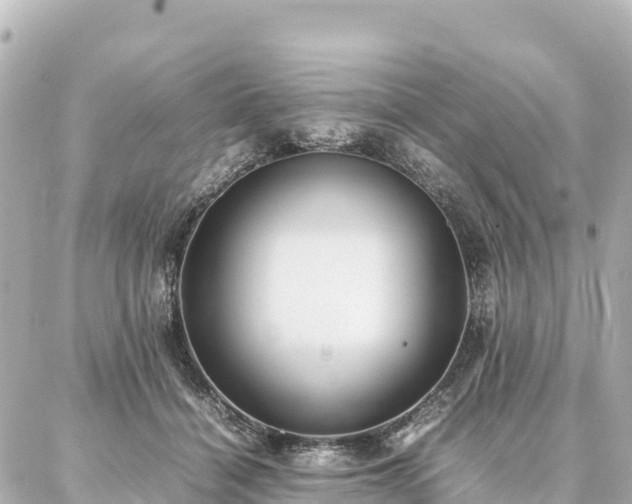 X0000087060460200704251033