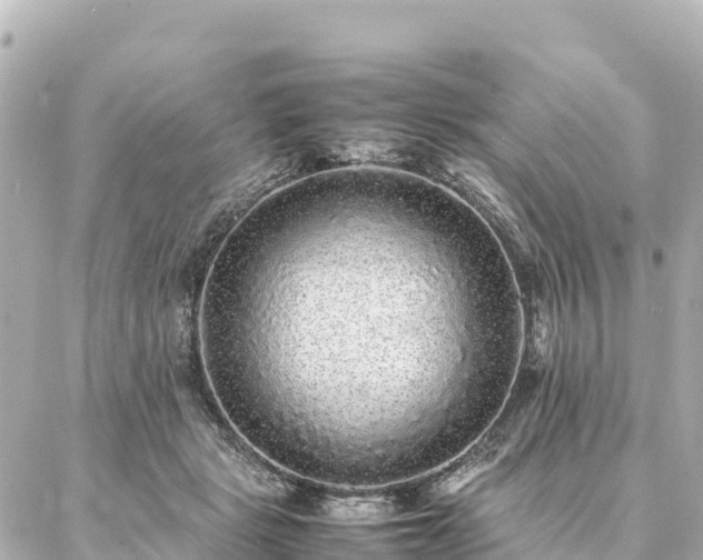 X0000087060461200704251033