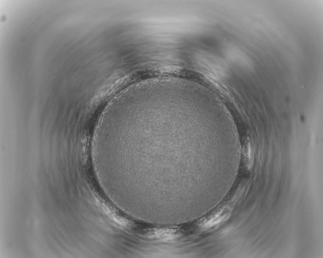 X0000087060462200704251033