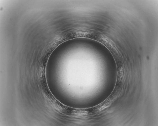 X0000087060463200704251033