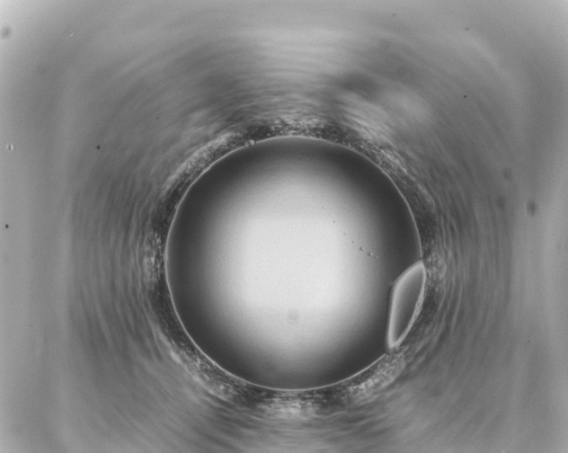 X0000087060464200704251033