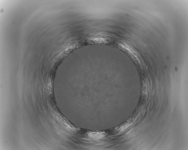 X0000087060465200704251033