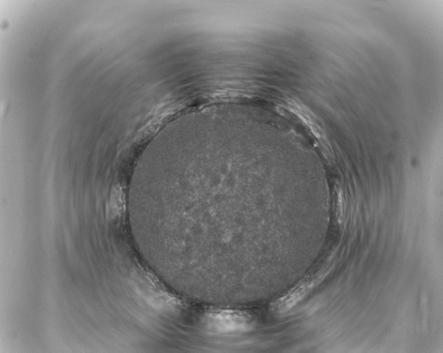 X0000087060467200704251033