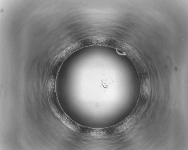 X0000087060468200704251033