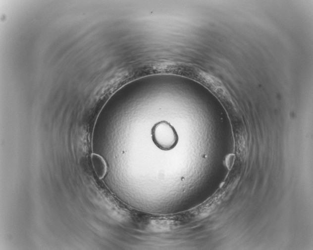 X0000087060470200704251033